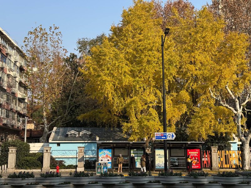 马上就圣诞节了嘛，也太快了点